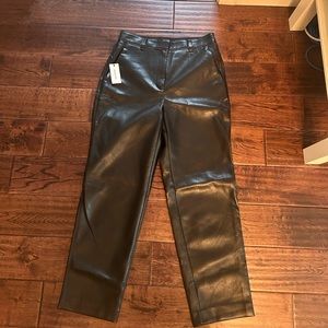 Aritzia leather pants